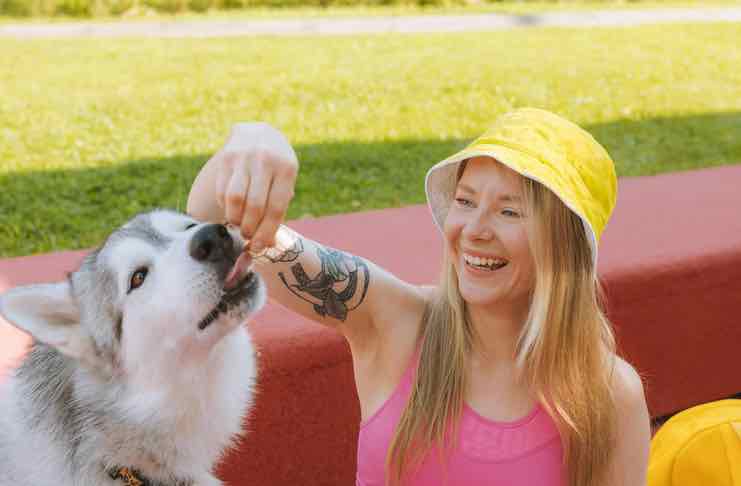 Dog-Friendly Treats