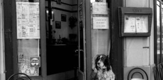 Petiquette Do’s and Don’ts When Dining with Your Dog at a Resto Dining with Your Dog at a Resto