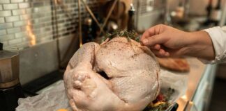 Dried vs Fresh Herbs: What’s the Difference in Cooking? Fresh vs dried Herbs