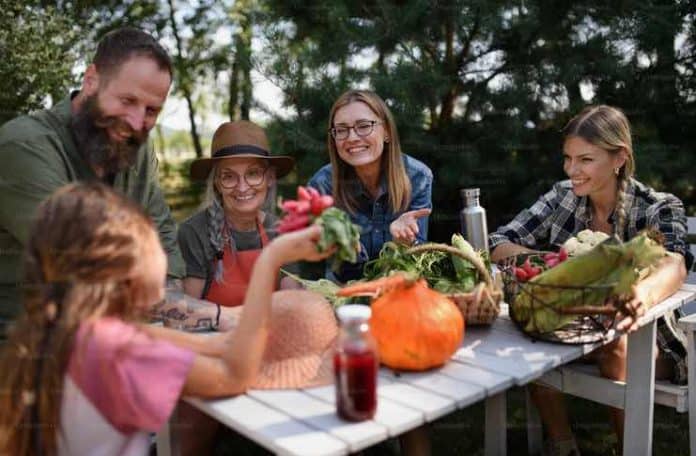 farm to table