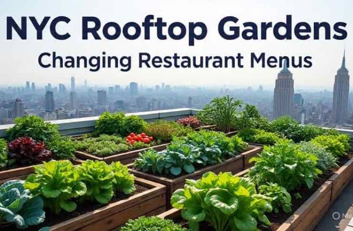 nyc rooftop gardens