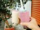How to Make Bubble Tea at Home: The Complete Guide for Boba Lovers How To Make Bubble Tea At Home: The Complete Guide For Boba Lovers