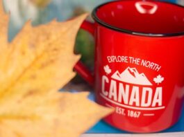The 5 Best Specialty Coffee Roasters In Canada In 2026