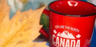 The 5 Best Specialty Coffee Roasters in Canada in 2026 The 5 Best Specialty Coffee Roasters In Canada In 2026