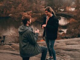 How to Propose in Central Park and Celebrate with NYC’s Best Street Food How To Propose In Central Park And Celebrate With Nyc's Best Street Food