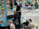 The Dog-Friendly NYC Street Food Crawl: Where to Go and What to Bring The Dog-Friendly Nyc Street Food Crawl: Where To Go And What To Bring